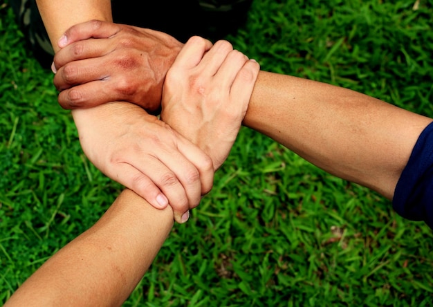 Cropped image of friends holding hands over grassy land