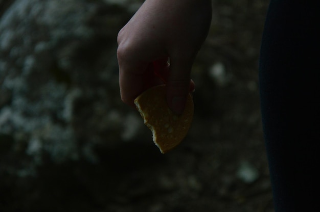 Photo cropped image of hand holding biscuit