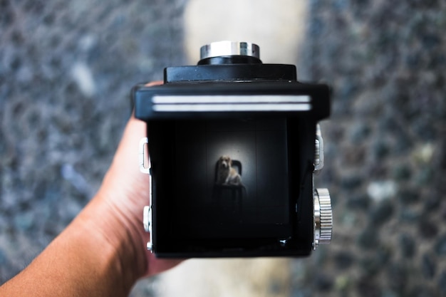 cropped image of hand holding camera