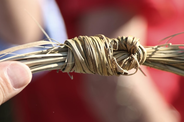 Photo cropped image of hand holding tied straw