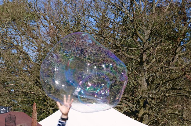 Photo cropped image of hand touching bubble against trees