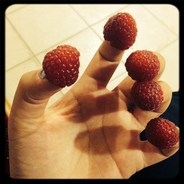 Photo cropped image of hand with raspberries