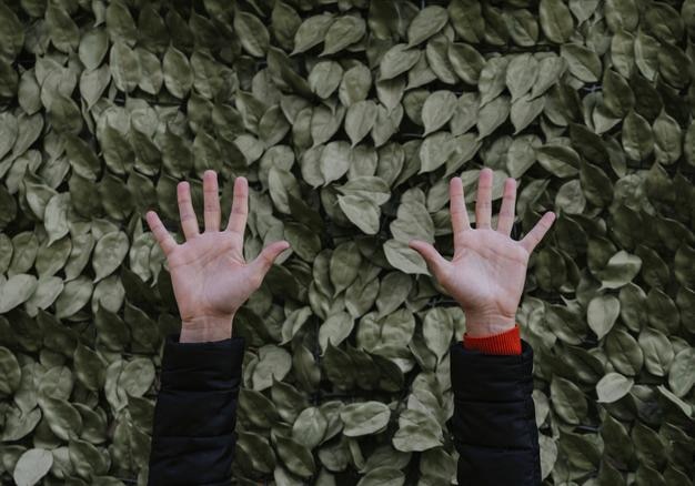 cropped image of hands against plants