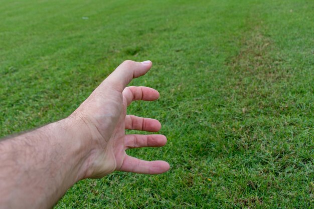 Photo cropped image of man hand on grass field