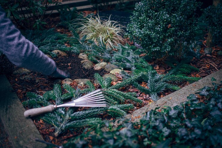 Cultivating Abundance: Exploring the World of Forest Gardening