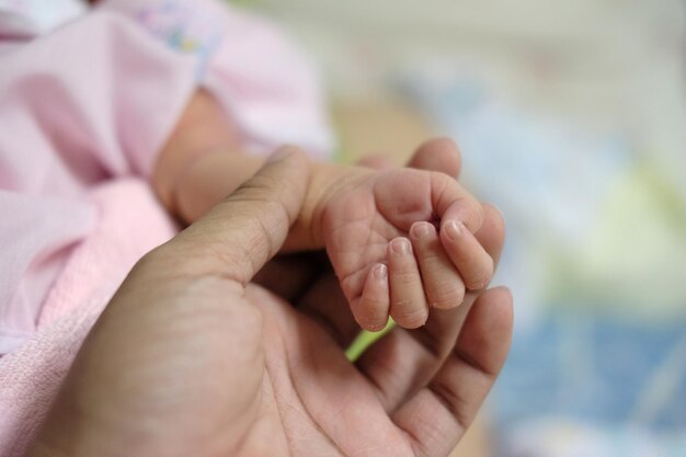 아기 의 손 을 들고 있는 어머니 의 절단 된 사진