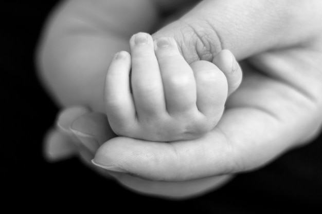 Photo cropped image of mother holding daughter hand against black background