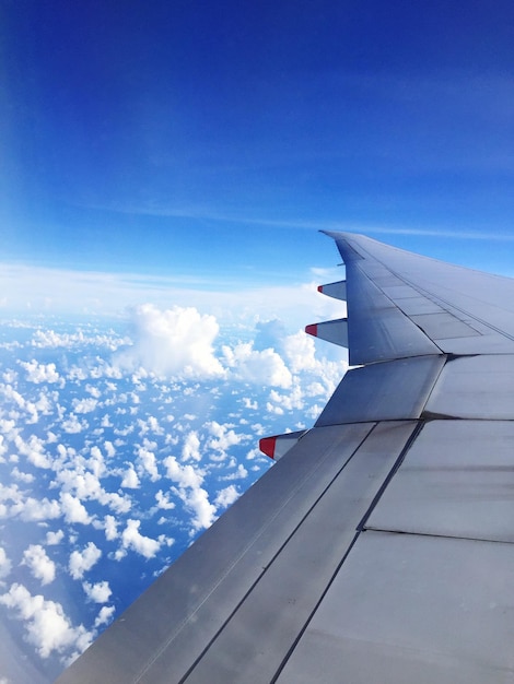 写真 空を飛ぶ飛行機のクロップされた画像