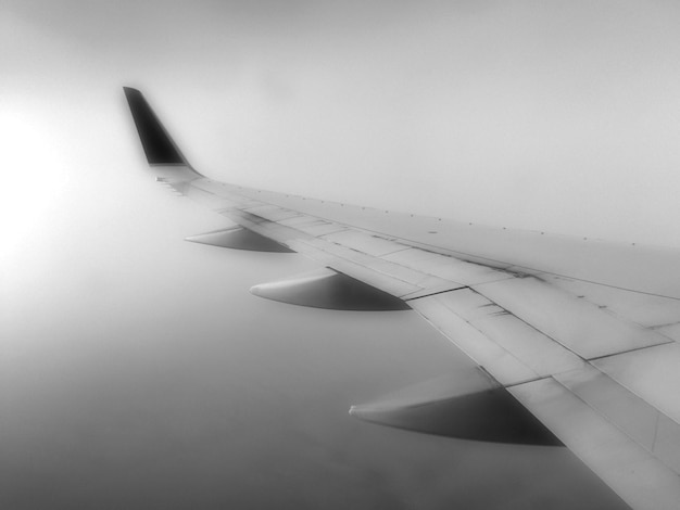 Фото Обрезанное изображение крыла самолета