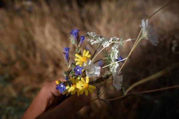 写真 屋外で花を抱いている人のカットされた画像