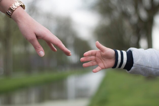 写真 畑で子供に手を差し伸べている女性のカットされた画像