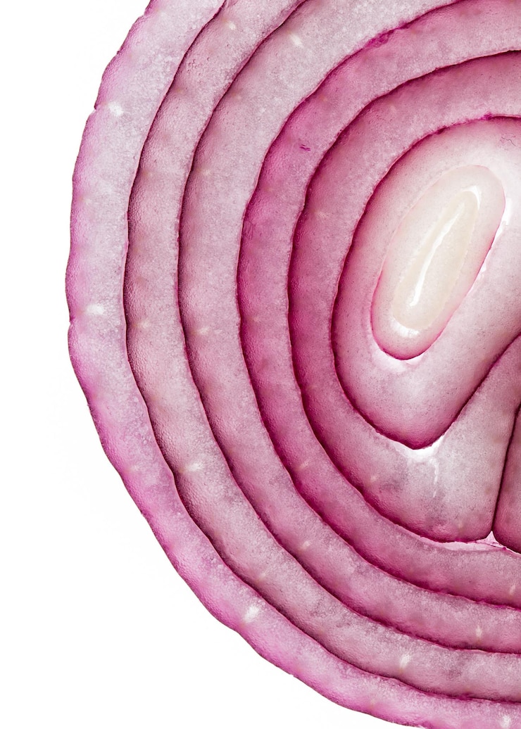 Photo cropped image of onion against white background