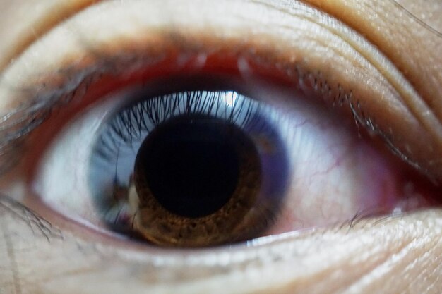 Photo cropped image of person eye