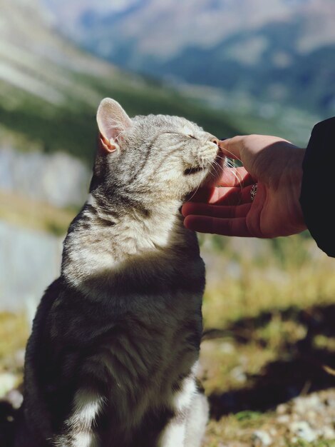 Foto immagine ritagliata di una persona con la mano contro il cielo