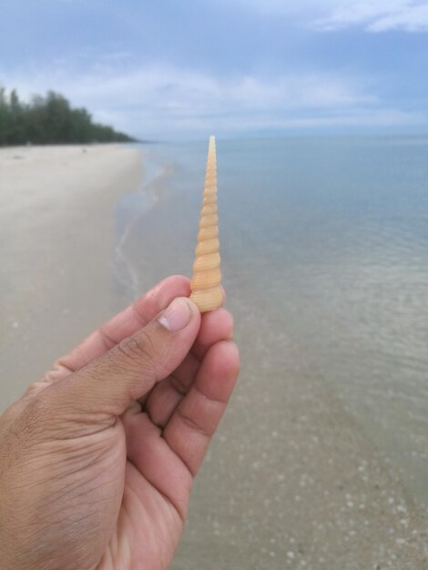 Cropped image of person holding stick on land against sky