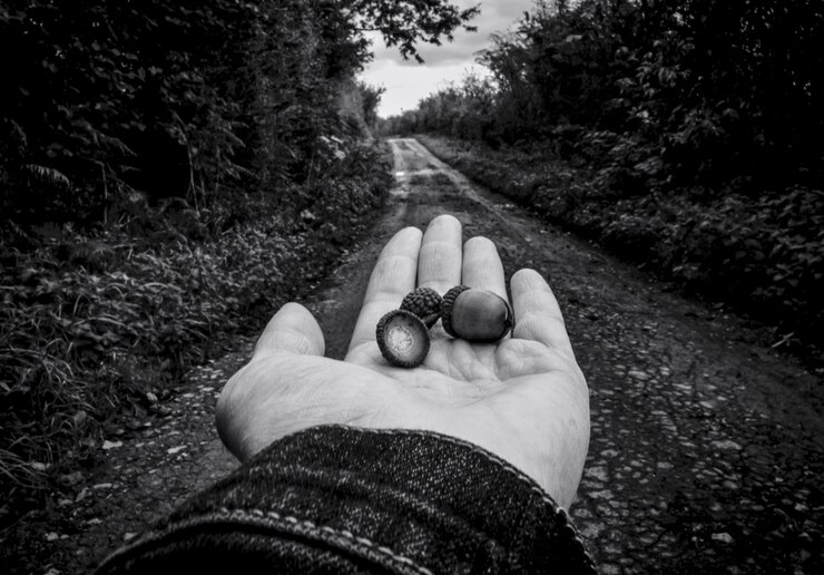 Фотография обрезка изображения человека, стоящего на поле