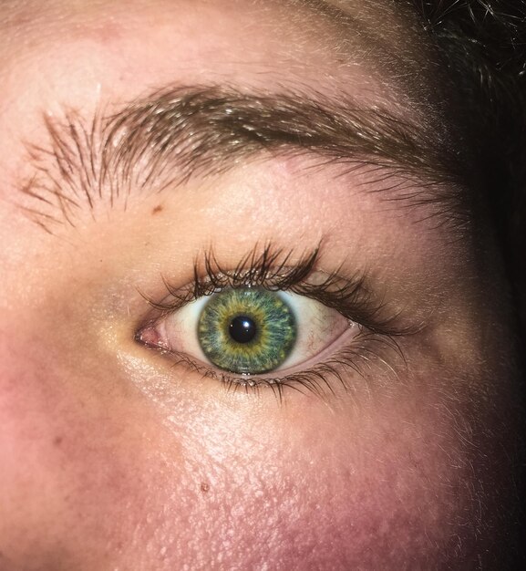 Cropped image of person with green eyes