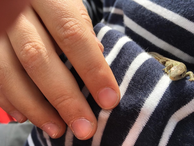 Photo cropped image of person with lizard