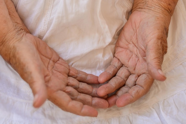 cropped image of senior woman