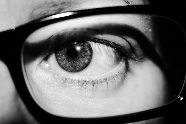 Foto immagine ritagliata di un occhio femminile che indossa occhiali