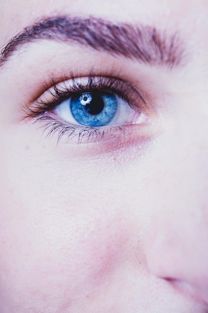 cropped image of woman eye
