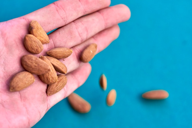 Cropped image of woman holding almonds over blue table