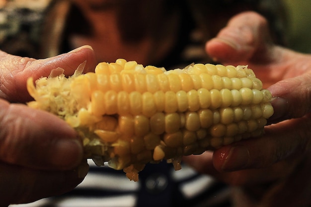 Cropped image of woman holding corn