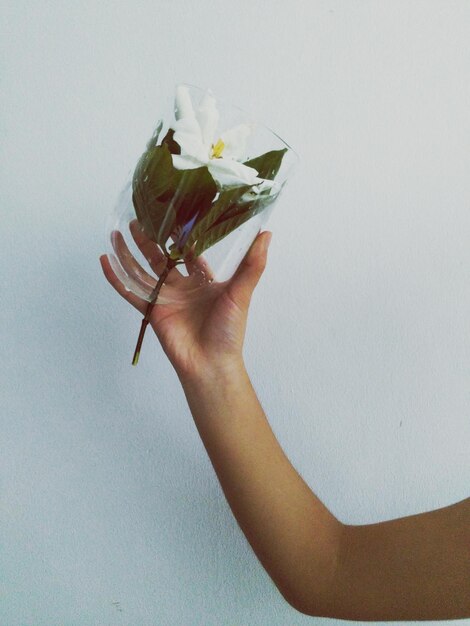 Photo cropped image of woman holding hands