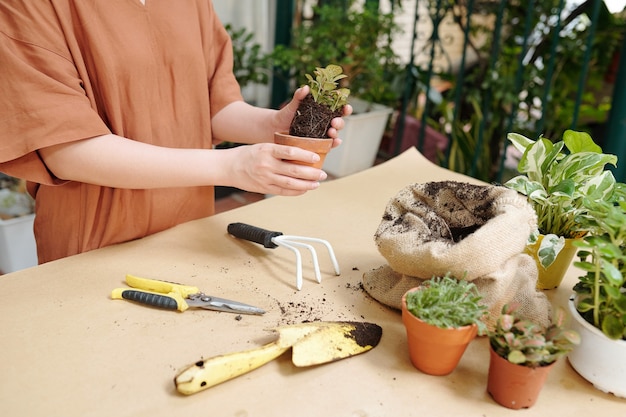 春の日に植物や花を植え替えるときにガーデニングツールを使用して女性のトリミングされた画像