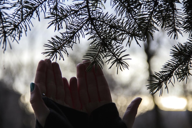 Foto immagine ritagliata di una donna con le mani coperte durante il tramonto