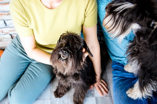 屋内でシュナウザー犬と若い女性のトリミングされた画像犬と一緒に床に座っている女性