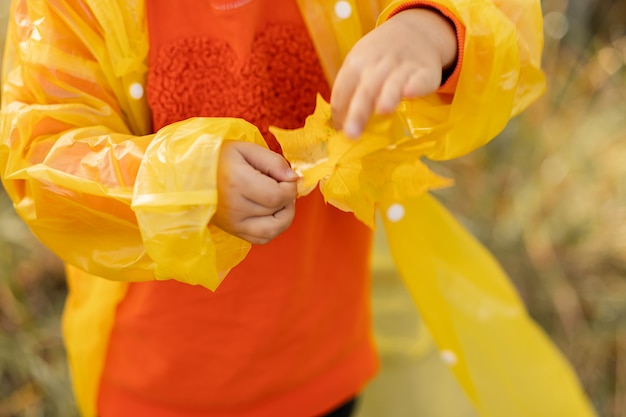 Cropped photo of little girl, unrecognizable person holding in hand yellow leaves in raincoat in park, yellow and orange colored