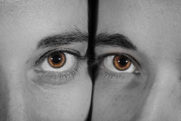 Foto ritratto tagliato di donne con gli occhi marroni