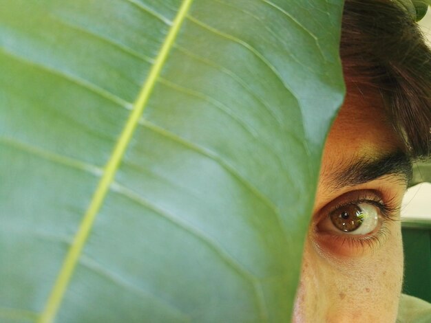 Cropped portrait of young man hiding behind leaf