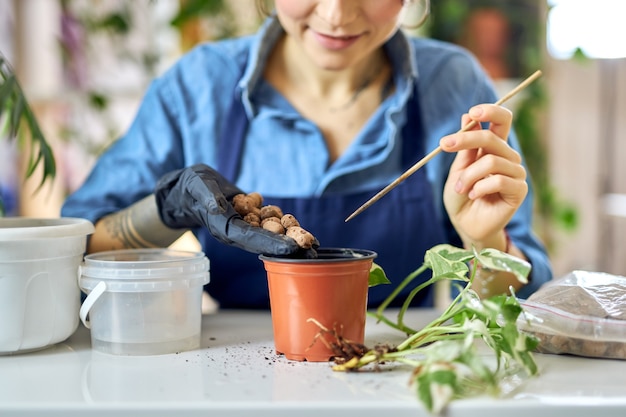 Colpo ritagliato di una donna che versa il drenaggio in un vaso di fiori mentre si prepara per il trapianto di piante in