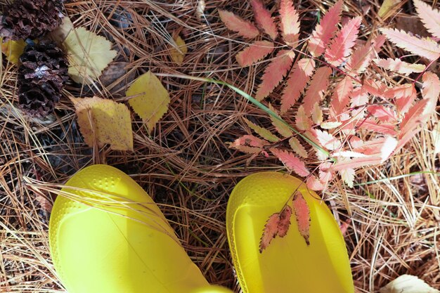 Cropped view of girl39s legs in yellow rain boots