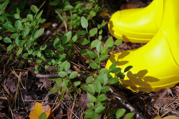 Cropped view of girl39s legs in yellow rain boots