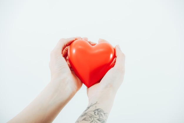 Cropped view of woman holding plastic heart isolated on white