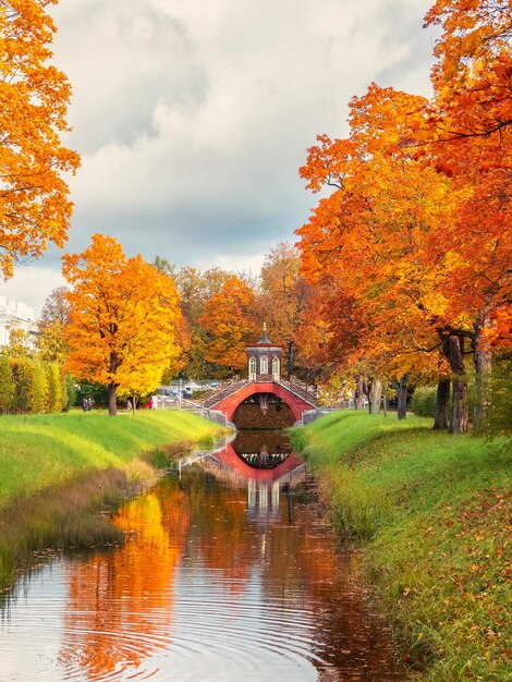 The cross bridge in autumn golden autumn in catherine park tsarskoye selo old city park with bright autumn golden maples on a sunny day vertical view