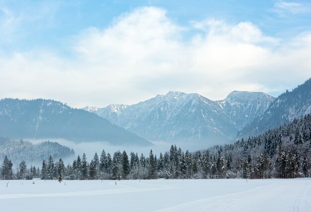 クロスカントリー スキー トラックと雪に覆われたモミの森のある冬の山の風景。