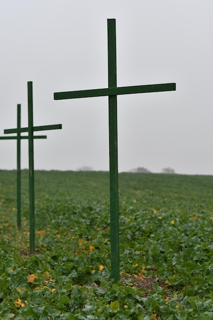 Photo cross on field