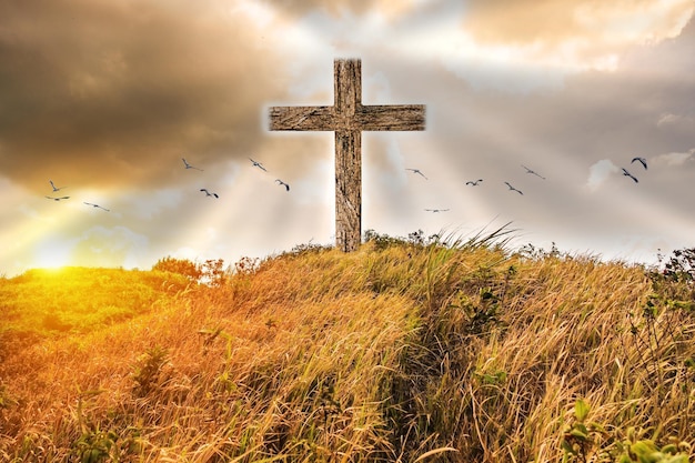 Cross on gold meadow mountain shining light