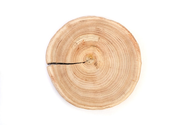 Поперечный разрез среза ствола дерева с волнистым рисунком трещин и колец, спиленных из леса