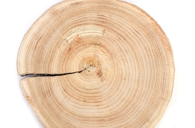 Cross section of a cut wood tree trunk slice with wavy pattern cracks and rings sawed down from the woods