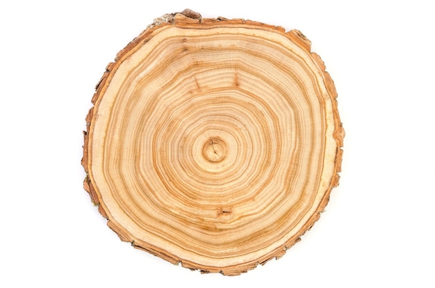 Cross section of a cut wood tree trunk slice with wavy pattern cracks and rings sawed down from the woods