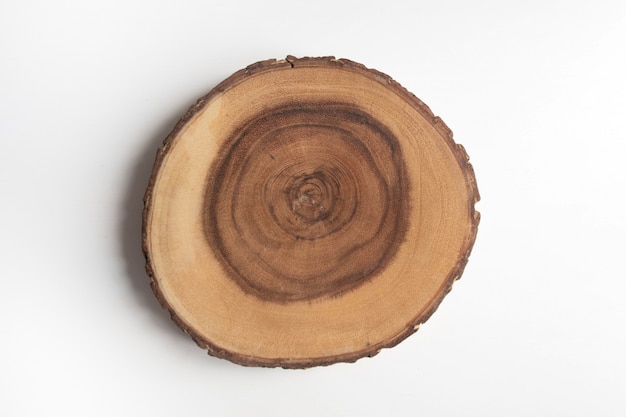 Cross section of tree stump on white table