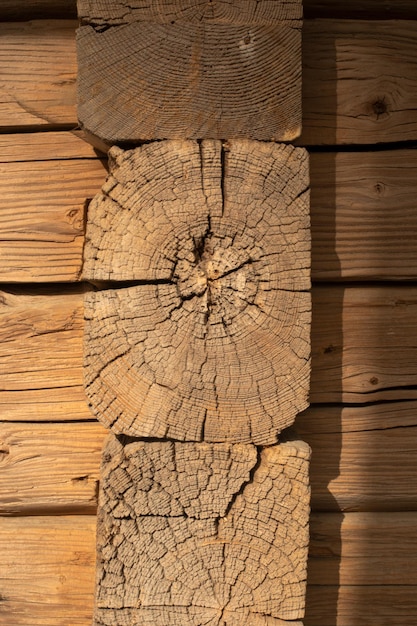 Cross section of a tree trunk Wood background