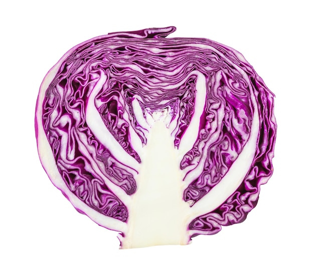 Crosssection of red cabbage cabbagehead