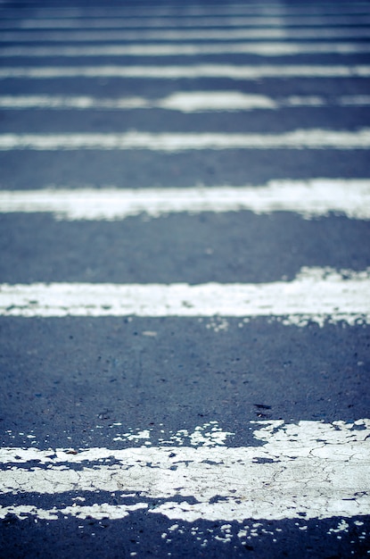 横断歩道