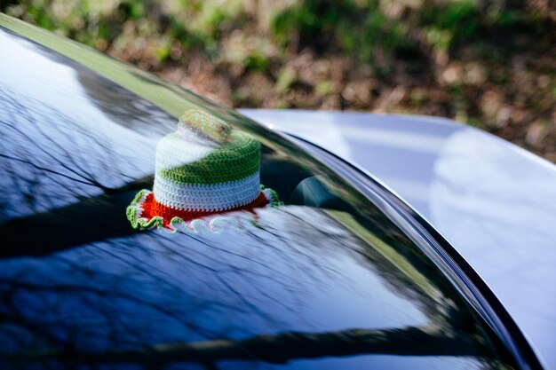 Photo crotchet toilet paper cover on backside of car behind window